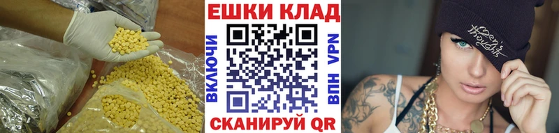 omg вход  Щёкино  Ecstasy mix 