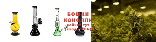 амф Беломорск